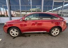 Легковые-Lexus-RX