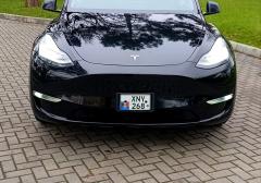 Легковые-Tesla-Model Y