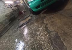 Легковые-Mercedes-benz-Vito