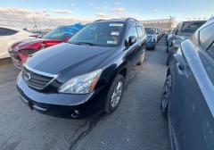 Легковые-Lexus-RX