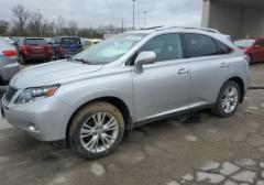 Легковые-Lexus-RX