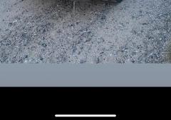 Легковые-Hyundai-Trajet