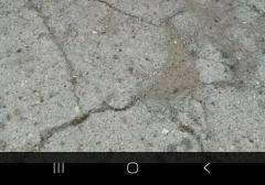 Мото-техника-BMW-F Series