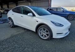 Легковые-Tesla-Model Y