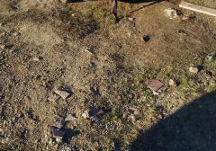 Легковые-Opel-Astra