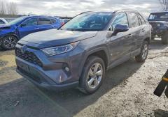 Легковые-Toyota-RAV4