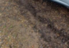 Легковые-Fiat-Punto