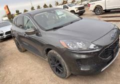 Легковые-Ford-Escape