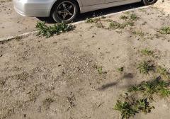 Легковые-BMW-3 class