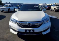Легковые-Honda-Accord