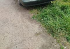 Легковые-Nissan-Primera