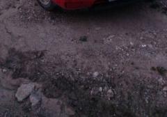 Легковые-Nissan-Primera