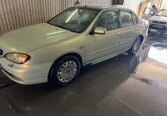 Легковые-Nissan-Primera