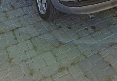 Легковые-Opel-Zafira